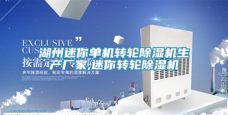 湖州迷你單機轉輪PICACG哔咔官网入口生產廠家,迷你轉輪PICACG哔咔官网入口