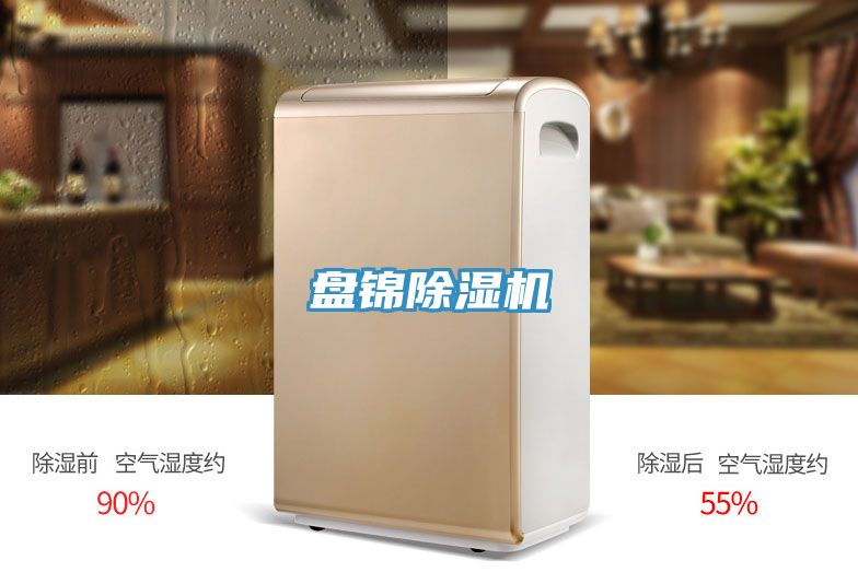 盤錦PICACG哔咔官网入口