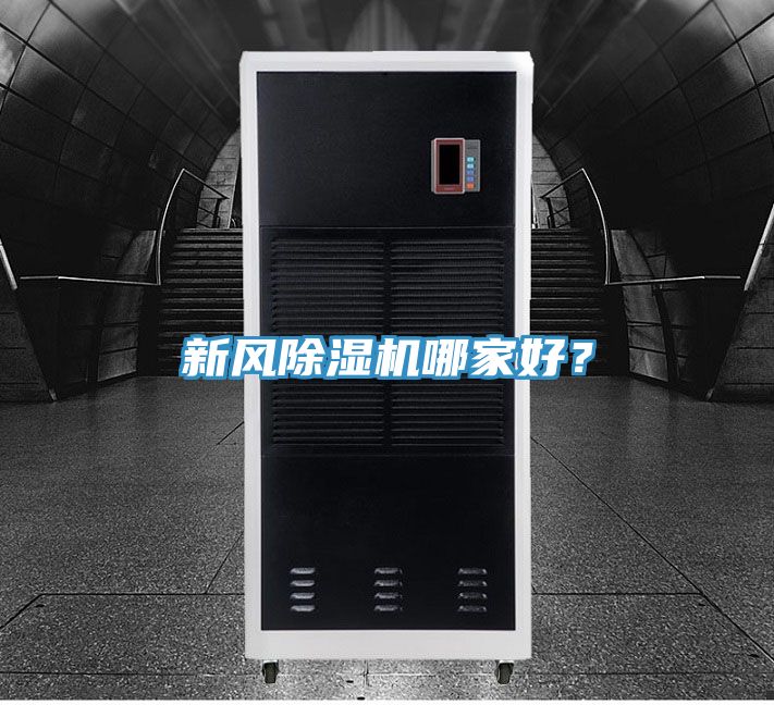 新風PICACG哔咔官网入口哪家好？