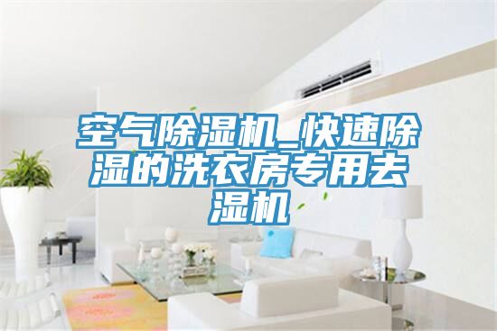 空氣PICACG哔咔官网入口_快速除濕的洗衣房專用去濕機