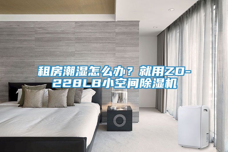 租房潮濕怎麽辦？就用ZD-228LB小空間PICACG哔咔官网入口
