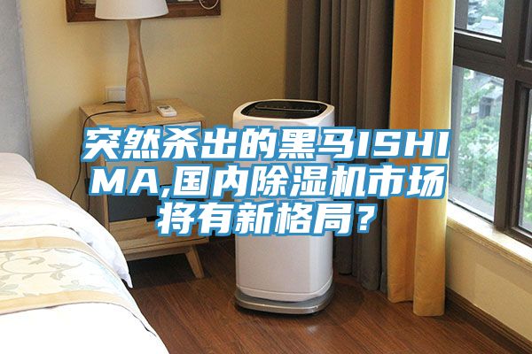 突然殺出的黑馬ISHIMA,國內PICACG哔咔官网入口市場將有新格局？