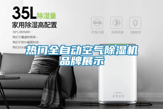 熱門全自動空氣PICACG哔咔官网入口品牌展示