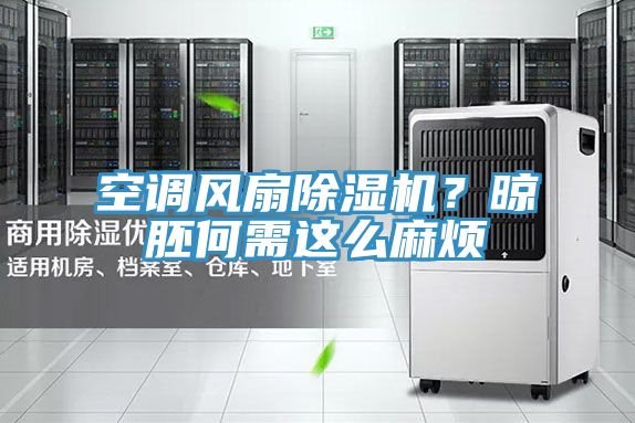 空調風扇PICACG哔咔官网入口？晾胚何需這麽麻煩