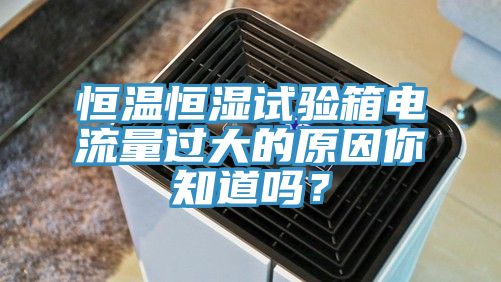 恒溫恒濕試驗箱電流量過大的原因你知道嗎？