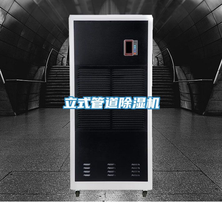 立式管道PICACG哔咔官网入口