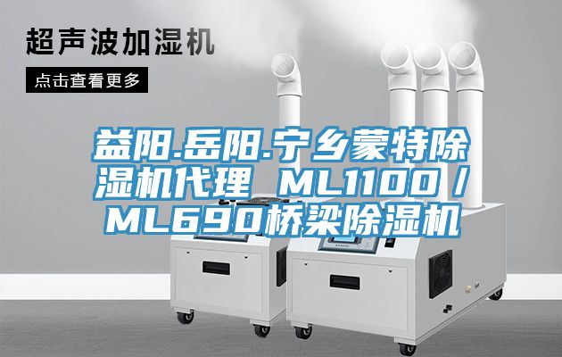 益陽.嶽陽.寧鄉蒙特PICACG哔咔官网入口代理 ML1100／ML690橋梁PICACG哔咔官网入口