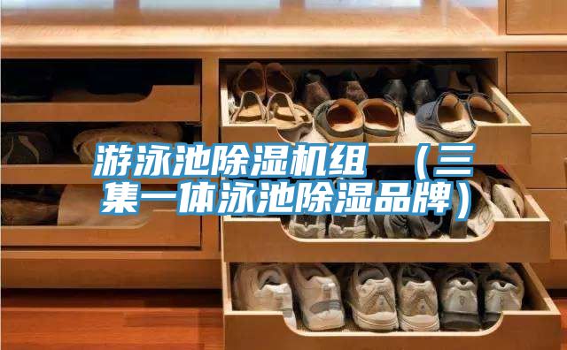 遊泳池PICACG哔咔官网入口組 （三集一體泳池除濕品牌）