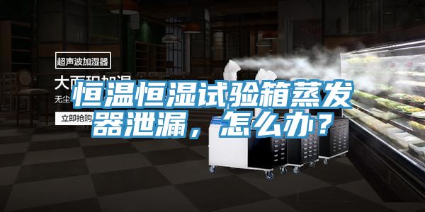 恒溫恒濕試驗箱蒸發器泄漏，怎麽辦？