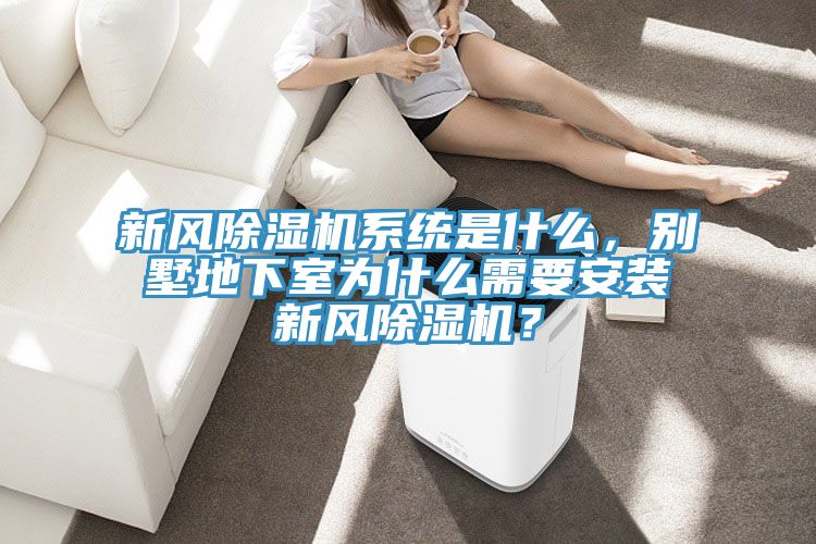 新風PICACG哔咔官网入口係統是什麽，別墅地下室為什麽需要安裝新風PICACG哔咔官网入口？