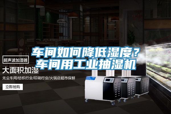 車間如何降低濕度？車間用工業抽濕機