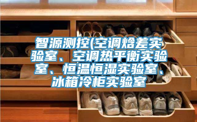 智源測控(空調焓差實驗室、空調熱平衡實驗室、恒溫恒濕實驗室、冰箱冷櫃實驗室