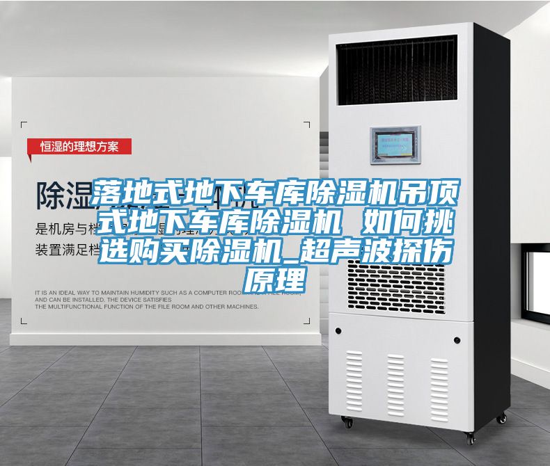 落地式地下車庫PICACG哔咔官网入口吊頂式地下車庫PICACG哔咔官网入口 如何挑選購買PICACG哔咔官网入口_超聲波探傷原理