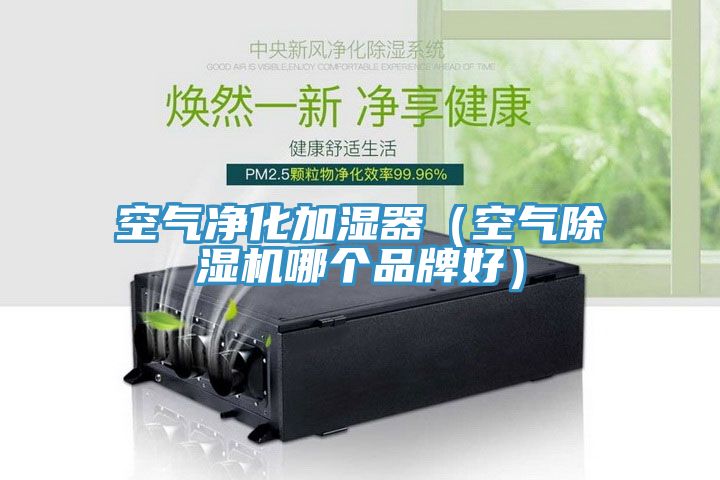 空氣淨化加濕器（空氣PICACG哔咔官网入口哪個品牌好）