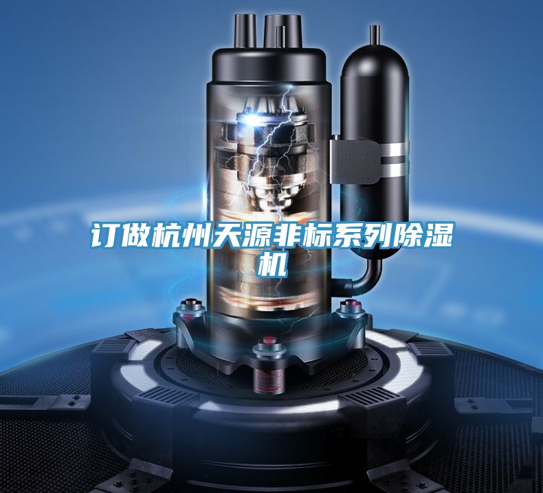 訂做杭州天源非標係列PICACG哔咔官网入口