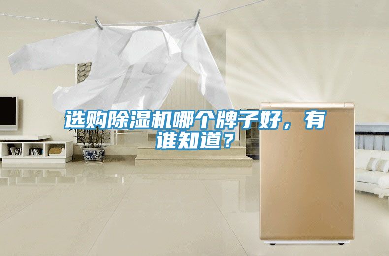 選購PICACG哔咔官网入口哪個牌子好，有誰知道？