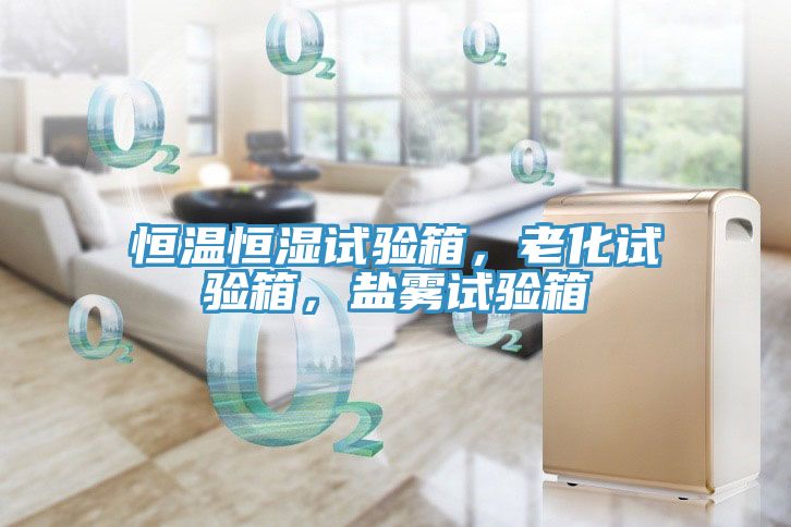 恒溫恒濕試驗箱，老化試驗箱，鹽霧試驗箱
