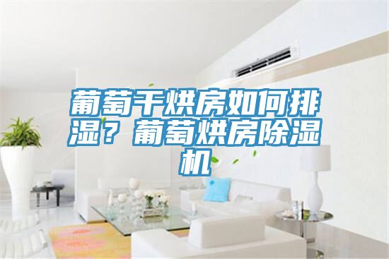葡萄幹烘房如何排濕？葡萄烘房PICACG哔咔官网入口