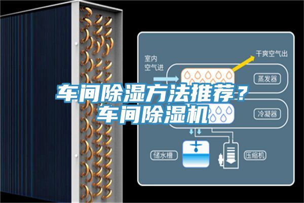 車間除濕方法推薦？車間PICACG哔咔官网入口