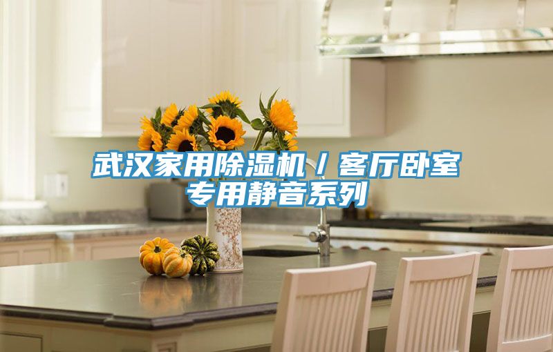 武漢家用PICACG哔咔官网入口／客廳臥室專用靜音係列