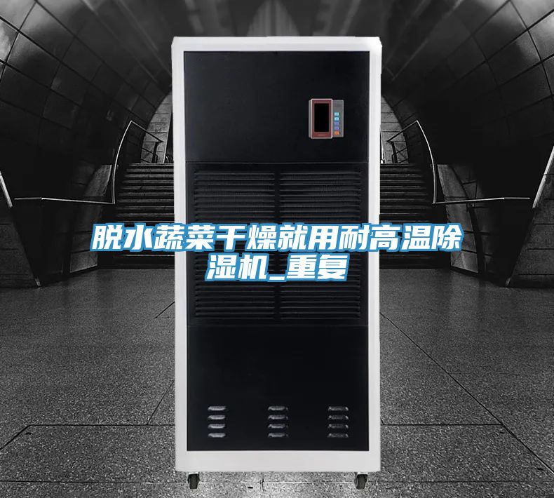 脫水蔬菜幹燥就用耐高溫PICACG哔咔官网入口_重複