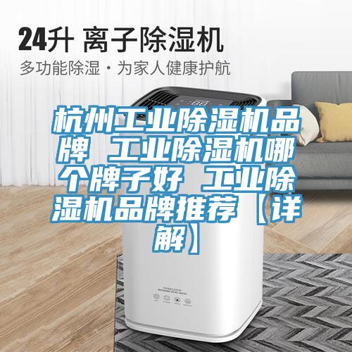 杭州工業PICACG哔咔官网入口品牌 工業PICACG哔咔官网入口哪個牌子好 工業PICACG哔咔官网入口品牌推薦【詳解】