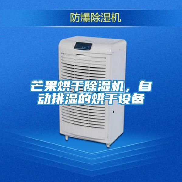 芒果烘幹PICACG哔咔官网入口，自動排濕的烘幹設備