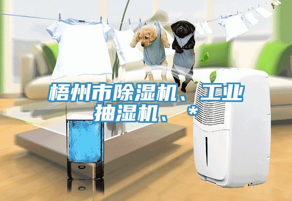 梧州市PICACG哔咔官网入口、工業抽濕機、＊