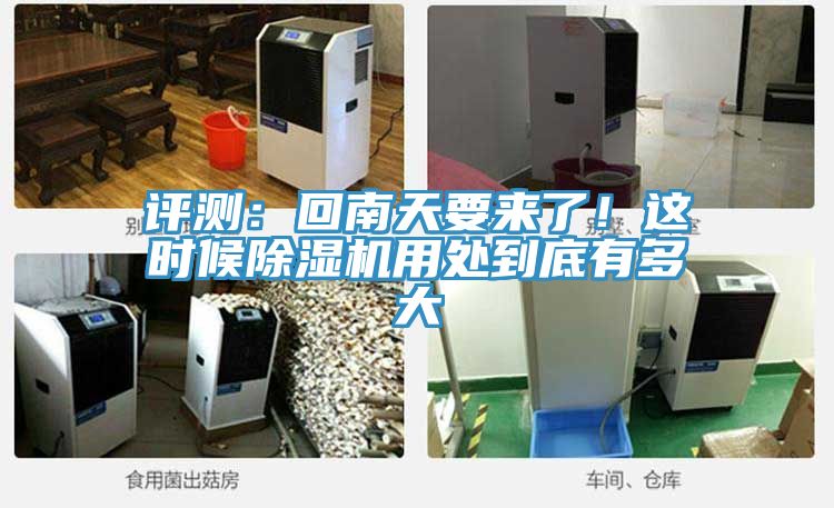 評測：回南天要來了！這時候PICACG哔咔官网入口用處到底有多大