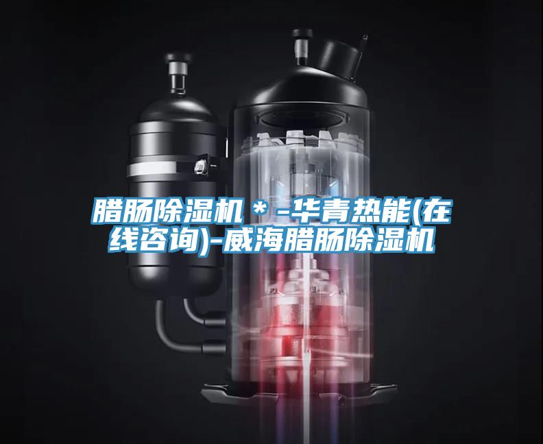 臘腸PICACG哔咔官网入口＊-華青熱能(在線谘詢)-威海臘腸PICACG哔咔官网入口