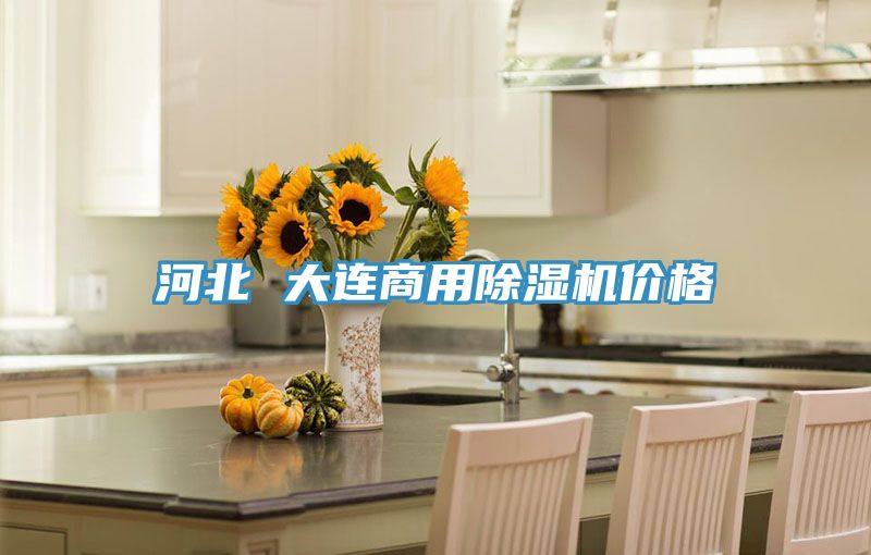 河北 大連商用PICACG哔咔官网入口價格