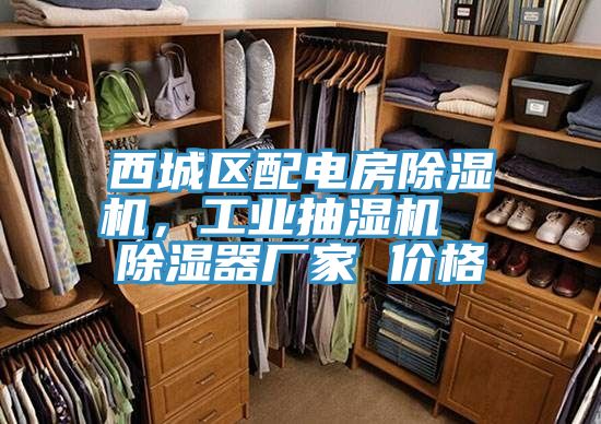 西城區配電房PICACG哔咔官网入口，工業抽濕機  除濕器廠家 價格