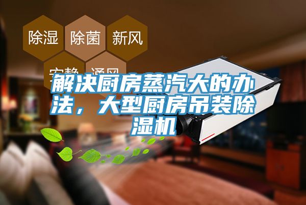解決廚房蒸汽大的辦法，大型廚房吊裝PICACG哔咔官网入口