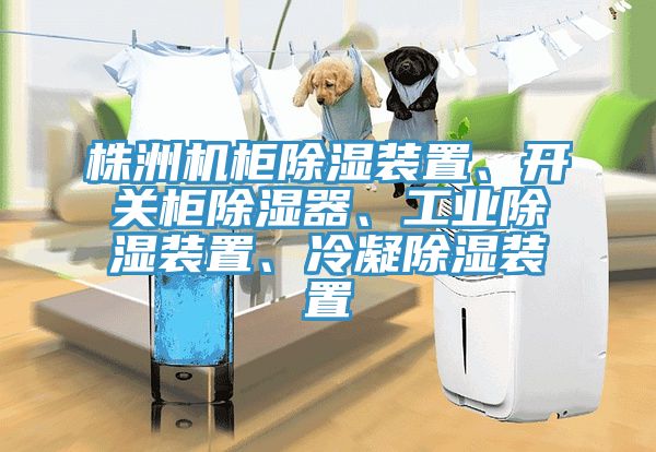 株洲機櫃除濕裝置、開關櫃除濕器、工業除濕裝置、冷凝除濕裝置