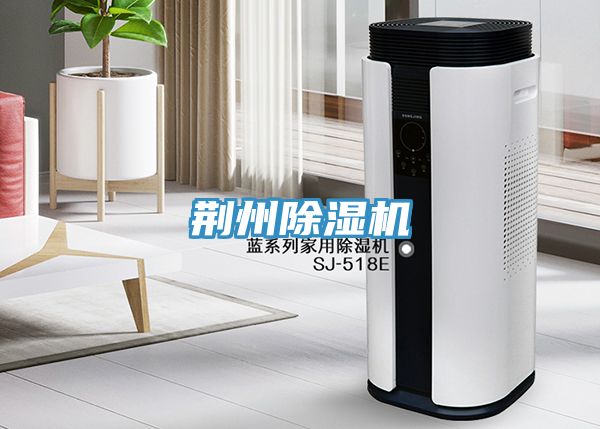 荊州PICACG哔咔官网入口