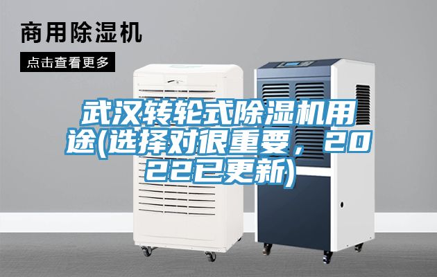 武漢轉輪式PICACG哔咔官网入口用途(選擇對很重要，2022已更新)