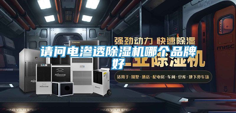 請問電滲透PICACG哔咔官网入口哪個品牌好