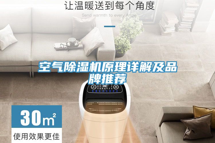 空氣PICACG哔咔官网入口原理詳解及品牌推薦