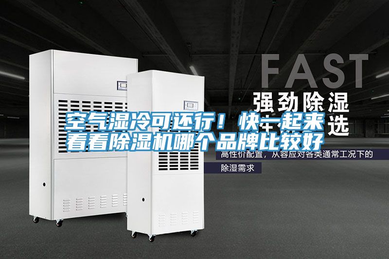 空氣濕冷可還行！快一起來看看PICACG哔咔官网入口哪個品牌比較好