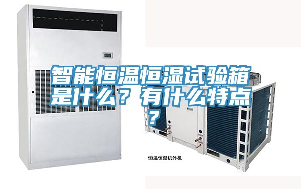 智能恒溫恒濕試驗箱是什麽？有什麽特點？