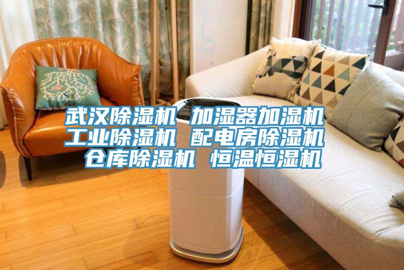 武漢PICACG哔咔官网入口 加濕器加濕機 工業PICACG哔咔官网入口 配電房PICACG哔咔官网入口 倉庫PICACG哔咔官网入口 恒溫恒濕機