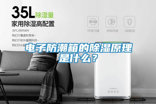 電子防潮箱的除濕原理是什麽？