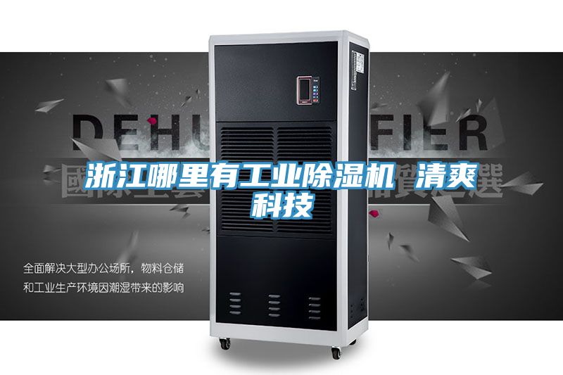 浙江哪裏有工業PICACG哔咔官网入口 清爽科技