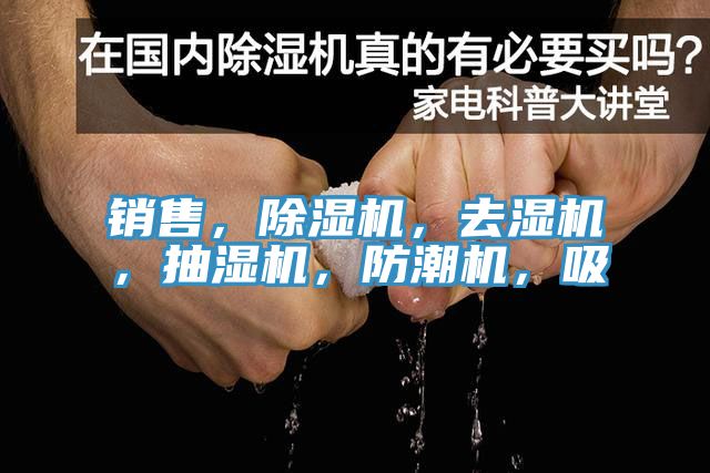 銷售，PICACG哔咔官网入口，去濕機，抽濕機，防潮機，吸