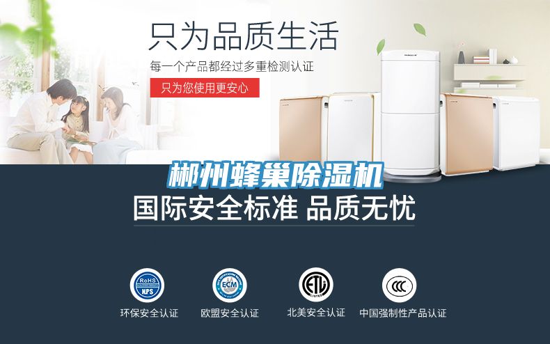 郴州蜂巢PICACG哔咔官网入口