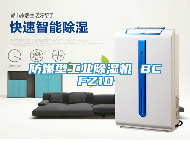 防爆型工業PICACG哔咔官网入口 BCFZ10