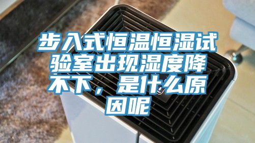 步入式恒溫恒濕試驗室出現濕度降不下，是什麽原因呢