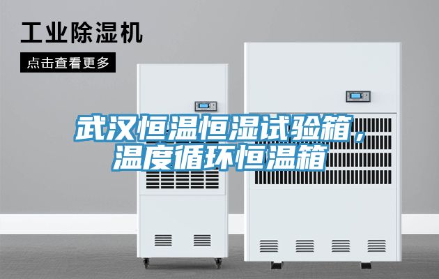 武漢恒溫恒濕試驗箱，溫度循環恒溫箱