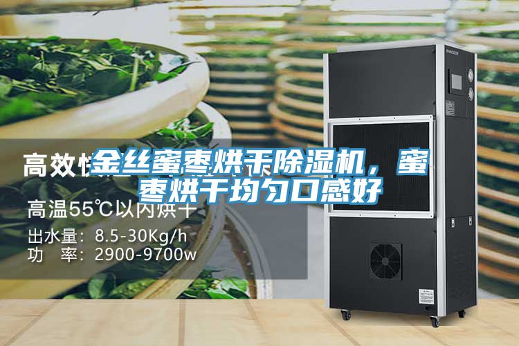 金絲蜜棗烘幹PICACG哔咔官网入口，蜜棗烘幹均勻口感好