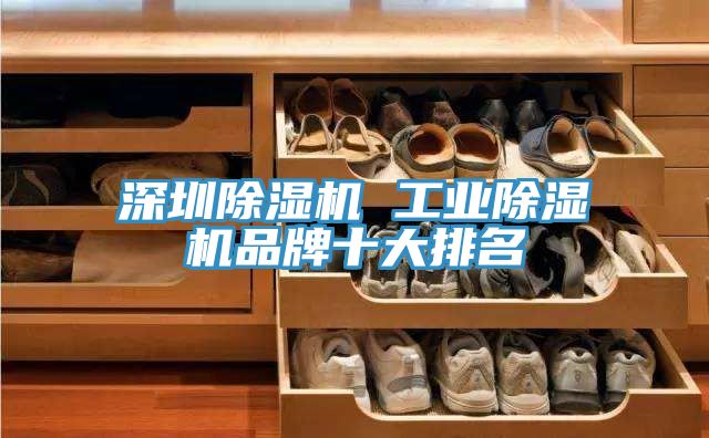 深圳PICACG哔咔官网入口 工業PICACG哔咔官网入口品牌十大排名